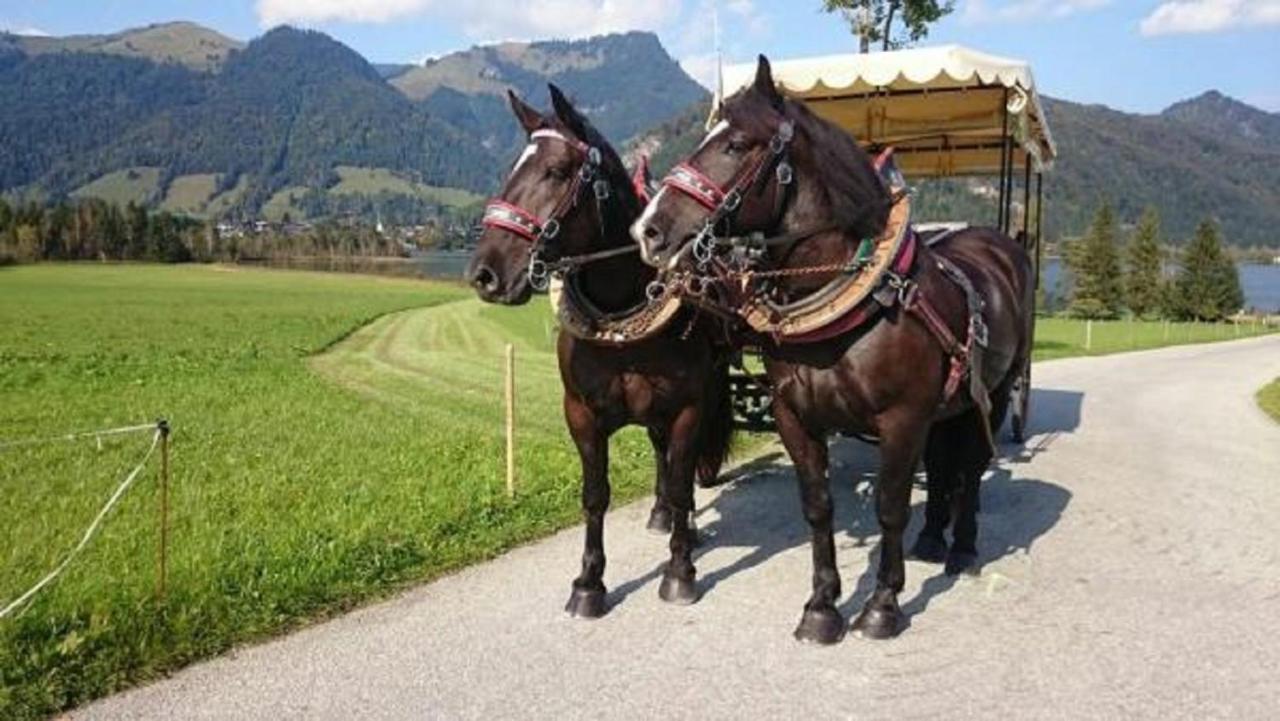 Reitanlage Dagnhof Leilighet Walchsee Eksteriør bilde